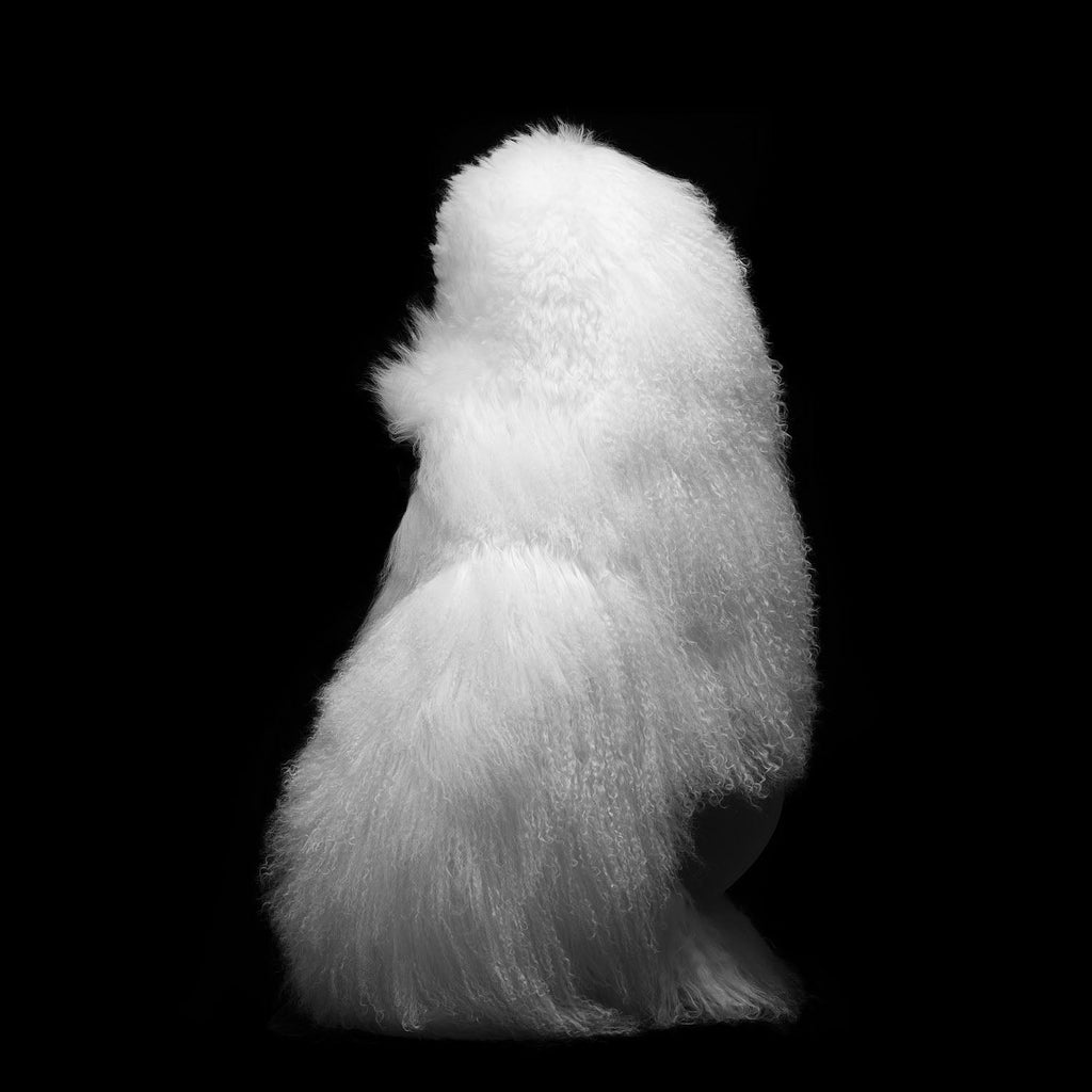 IF Speaker David I - -Plush ver. White --SOLD OUT