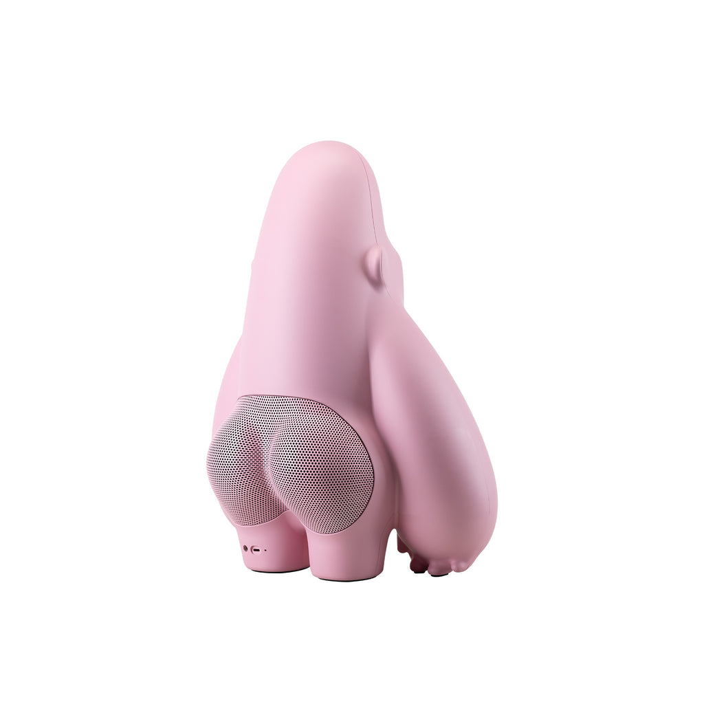 IF Speaker David II ROCK Soda Pink